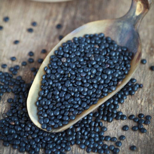 Cooked Lentils Recipe